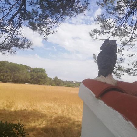 Appartamento Es Pins Cala Blanca  Esterno foto