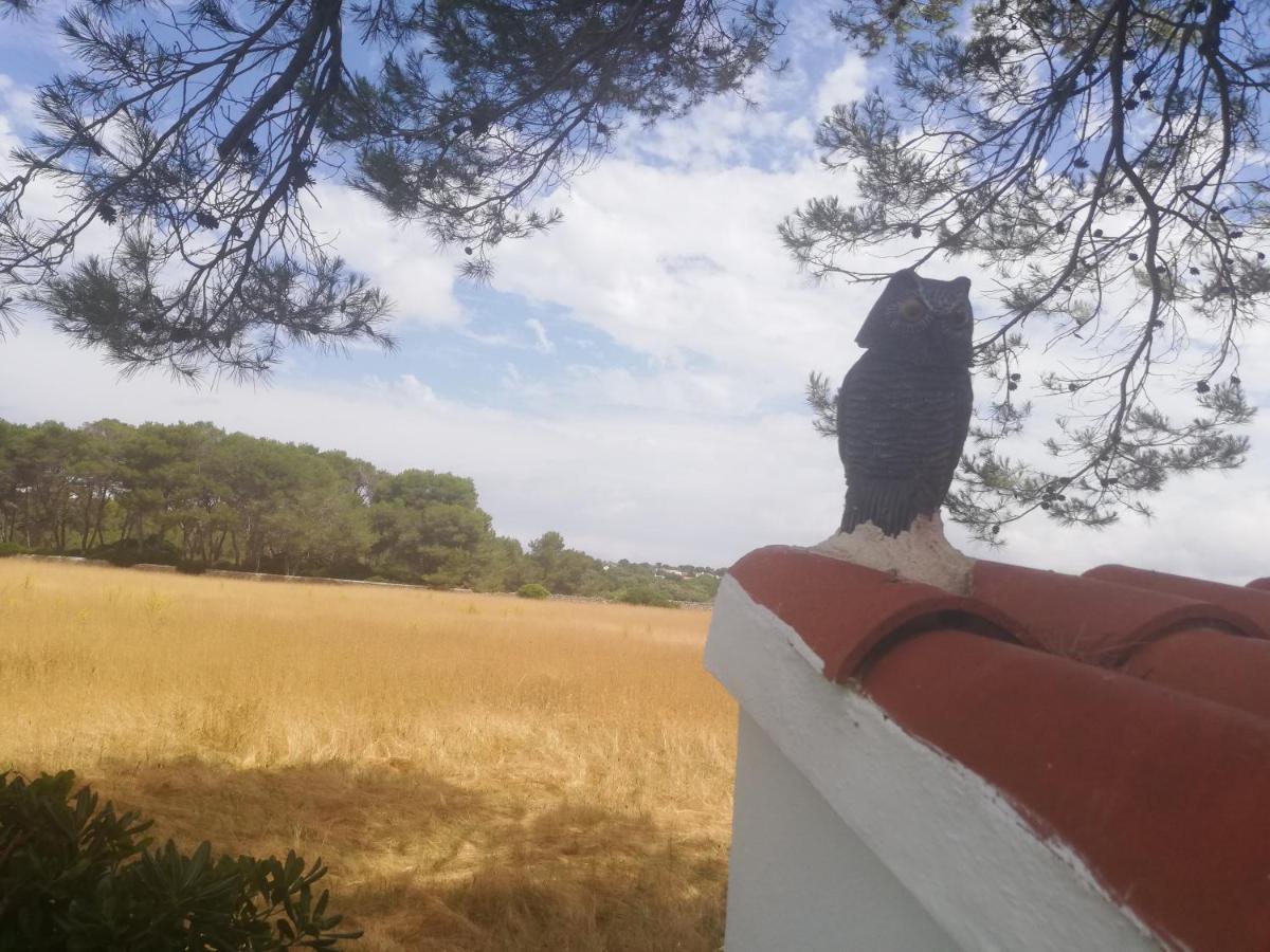 Appartamento Es Pins Cala Blanca  Esterno foto